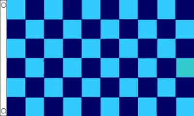 Sky and Navy Check Flag