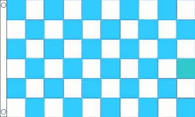 Sky Blue and White Check Flag