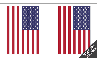 USA States Bunting