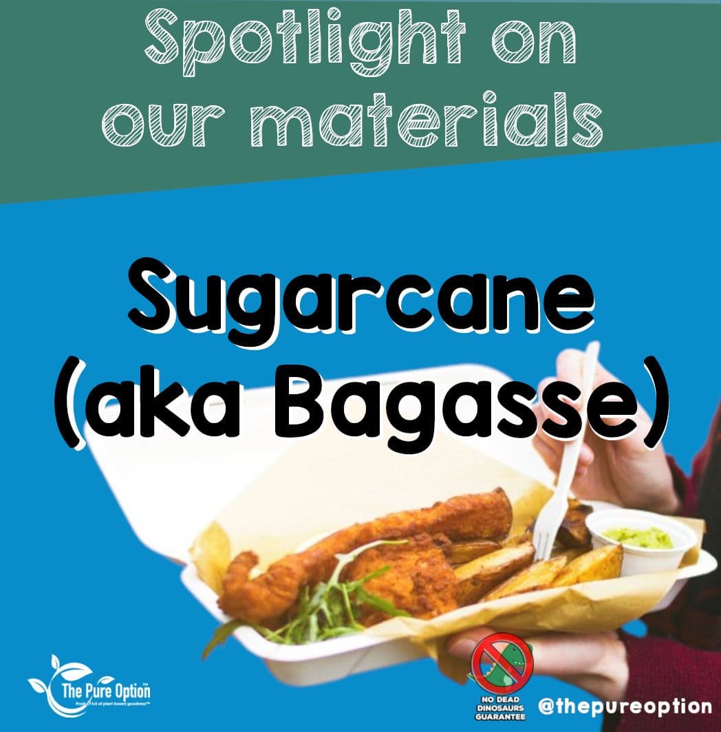 What Is Bagasse