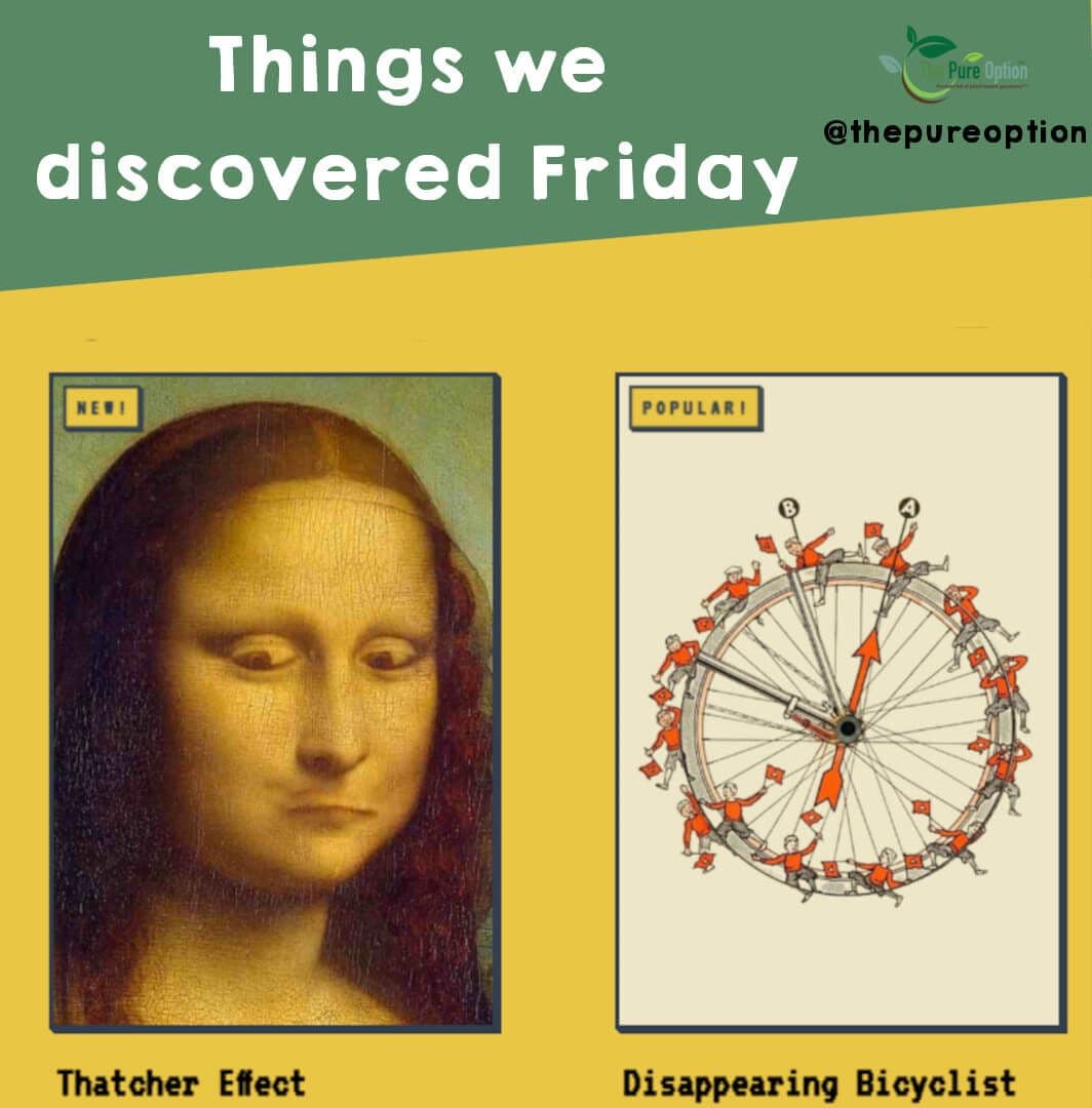 Things we Discovered Friday No4