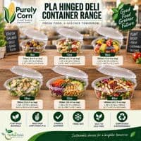 Clear PLA Hinged Deli Containers (8oz) | The Pure Option
