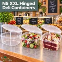 Clear PLA Hinged Deli Containers (8oz) | The Pure Option