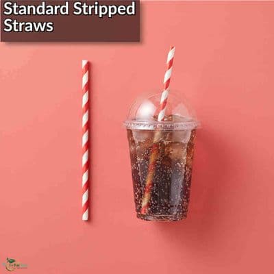 Biodegradable Compostable Striped Paper Straws 6mm | Box of 250