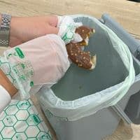 Compostable Biodegradable Latex Free Disposable Gloves  (Pick a Size)