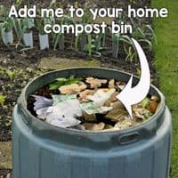 Compostable Biodegradable Latex Free Disposable Gloves  (Pick a Size)