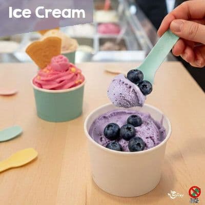 Compostable Ice Cream Tubs & Spoons | 100% Plastic-Free Desserts