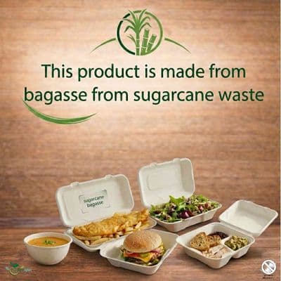 Compostable Sugarcane Bagasse Takeaway Packaging | 100% Plastic-Free