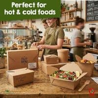 Kraft Biodegradable Compostable Sandwich & Cake Boxes | Leakproof | Bulk