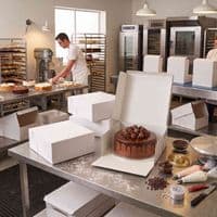 Large Cardboard Compostable Folding Cake Boxes 10x10