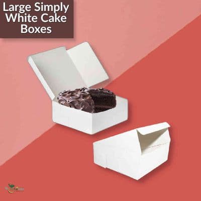 Large Cardboard Compostable Folding Cake Boxes 10x10