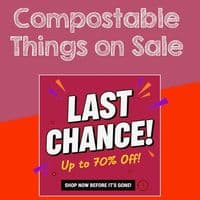 Medium StrEAT Compostable Biodegradable Takeaway Food Container Boxes | Pack of 50