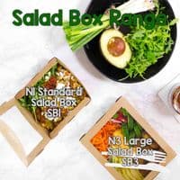 N1 Bulk Standard Biodegradable Compostable Disposable Salad, Deli & Cake Boxes x 300