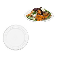 N1 Bulk Standard Sugarcane Biodegradable Compostable Round Plates 7