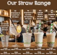 N1 Standard Biodegradable Compostable Striped Straws 6mm (Pack of 250)