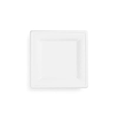 N1 Standard Sugarcane Biodegradable Compostable Disposable Square Plates 8