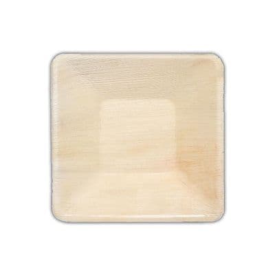 N10 Palm Leaf Square Biodegradable Plates 10