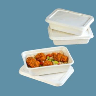 N185 Bulk Sugarcane Compostable Oven Safe Food Trays & Lids16oz x 500