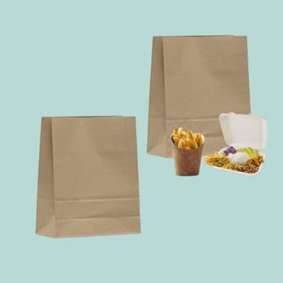 N2 Kraft Medium Biodegradable Compostable Paper Bags 16x10