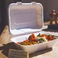 N2 Medium Sugarcane Compostable Two Compartment Food Container Boxes 9x6