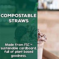 N2 Paper Compostable Wrapped Paper Straws 6mm x 150