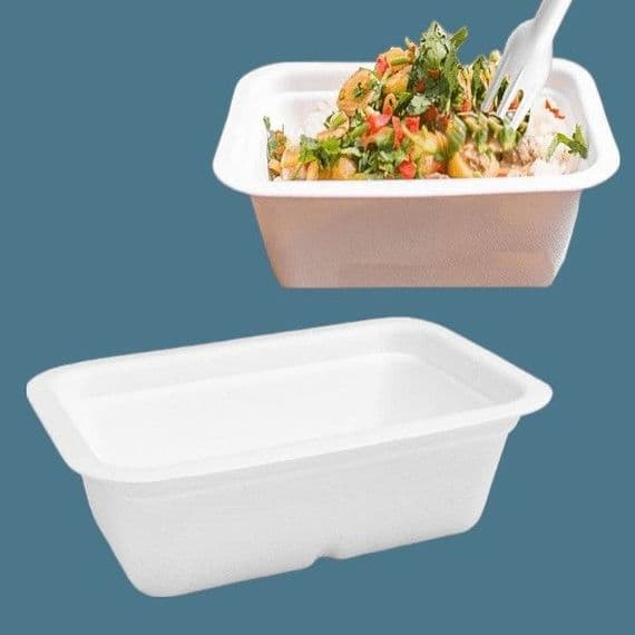N210 Bulk Large Sugarcane Biodegradable Compostable Food Trays 22oz x 600