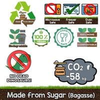 N210 Bulk Standard Sugarcane Biodegradable Compostable Food Trays 12oz x 600