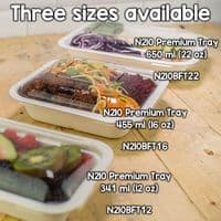N210 Large Sugarcane Biodegradable Compostable Disposable Food Trays 22oz x 50