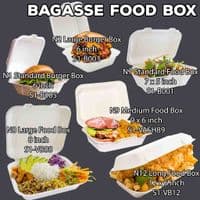 N210 Large Sugarcane Biodegradable Compostable Disposable Food Trays 22oz x 50