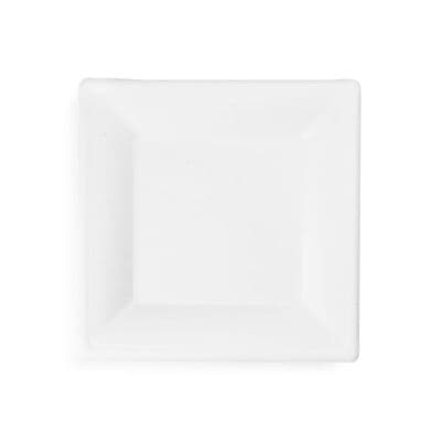 N3 Bulk Bagasse Large Sugarcane Biodegradable Compostable Square Plates 10