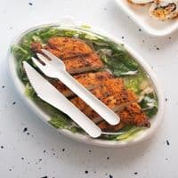 N3 Bulk Oval Sugarcane Biodegradable Compostable Round Plates 10