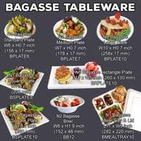 N3 Bulk Oval Sugarcane Biodegradable Compostable Round Plates 10