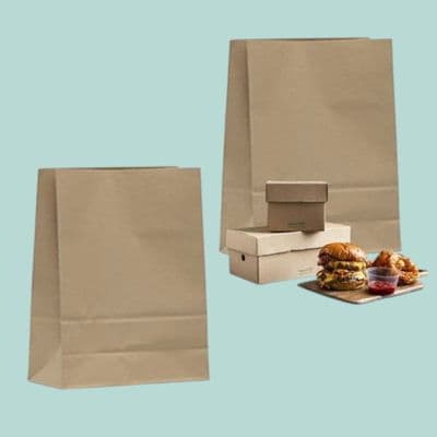 N3 Large Biodegradable Compostable Disposable Paper Carrier Bags 18x13