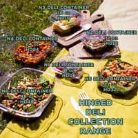 N3 Large Biodegradable Compostable Hinged Dessert Deli Salad Container 24oz x 50