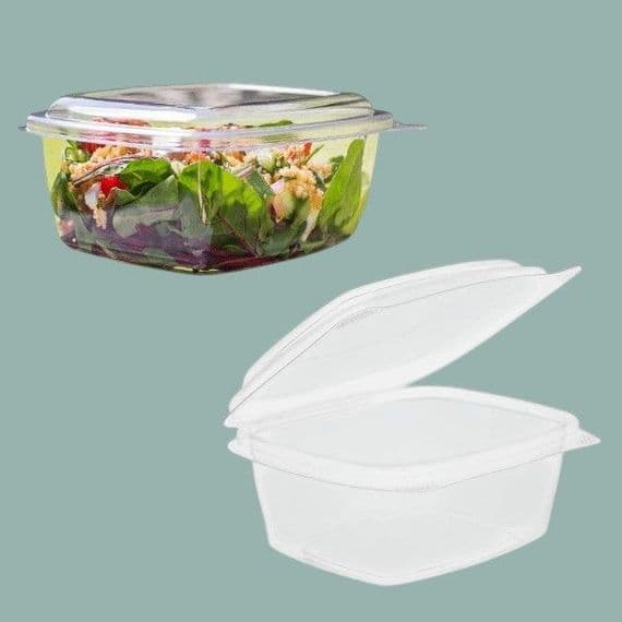 N3 Large Biodegradable Compostable Hinged Dessert Deli Salad Container 24oz x 50