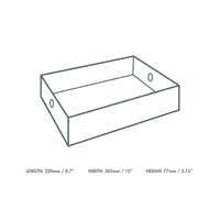 N3 Large Compostable Buffet Platter Insert | Produce Trays 12x9