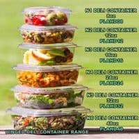 N4 XL Biodegradable Compostable Hinged Dessert Deli Salad Container 32oz x 50