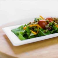N5 Bagasse Biodegradable Compostable Disposable Rectangle Buffet Plates 10