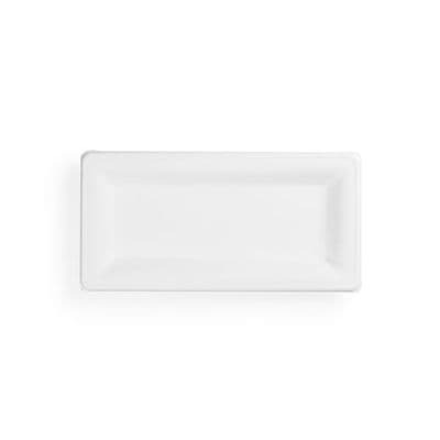 N5 Bagasse Biodegradable Compostable Disposable Rectangle Buffet Plates 10