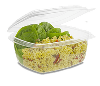 N5 XXL Biodegradable Compostable Hinged Dessert Deli Salad Container 48oz x 50