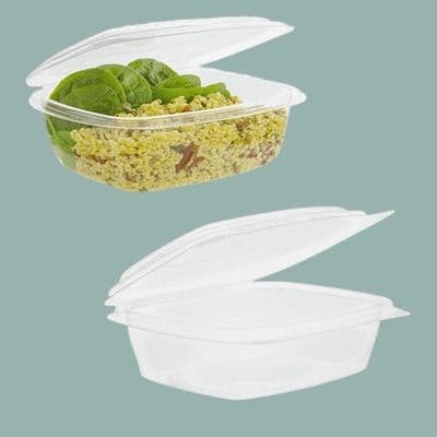 N5 XXL Biodegradable Compostable Hinged Dessert Deli Salad Container 48oz x 50