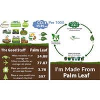 N6 Palm Leaf  Disposable Biodegradable Bowls 6