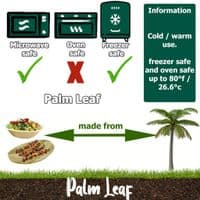 N7 Palm Leaf Square Compostable Biodegradable Plate 7