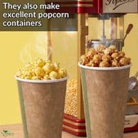 N72 Single Wall Biodegradable Compostable Disposable Hot Drink Cups | 6oz | Pack of 50