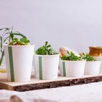 N90 Bulk Pastel Small Cardboard Biodegradable Compostable Ice Cream Containers 6oz x 1000