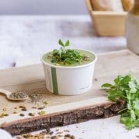 N90 Bulk Standard Biodegradable Compostable Ice Cream Soup Containers 10oz x 1000