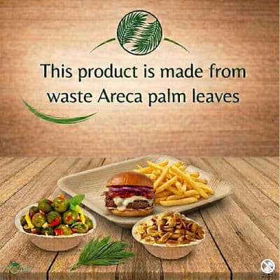 Palm Leaf Packaging: Tableware Crafted Directly by Trees (With 0% Chemical Nonsense)
