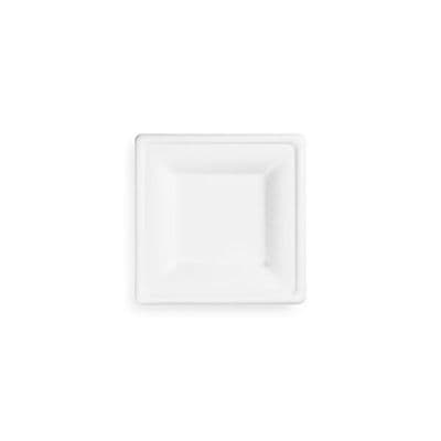 S1 Bulk Small Sugarcane Biodegradabl;e Compostable Square Plates 6