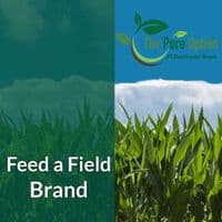 S1 Small Kraft Budget Compostable Bakery & Snack Trays 4x3