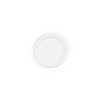 S1 Small Sugarcane Biodegradable Compostable Disposable Round Plates 6